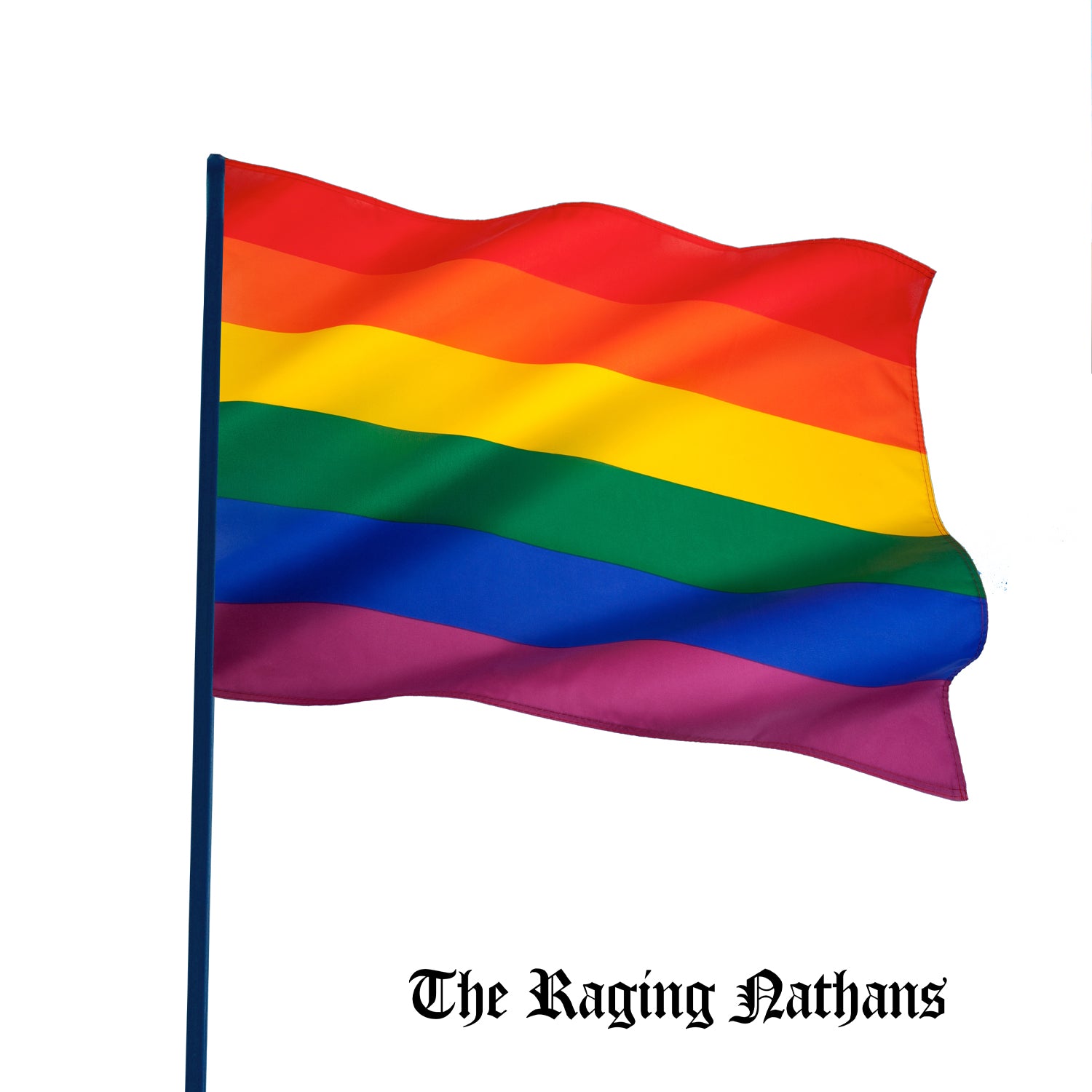 The Raging Nathans - Bring Me The Head Of Betsy Devos (7 INCH)