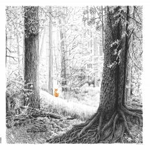 Doctor Doom - A Shadow Called Danger (CD)