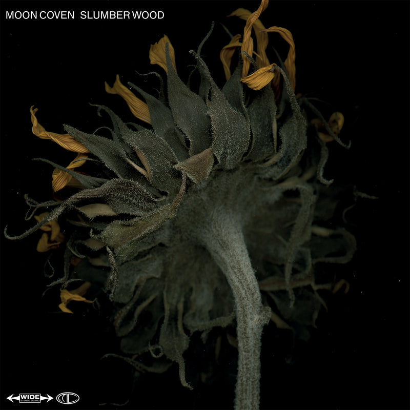Moon Coven - Slumber Wood (LP)
