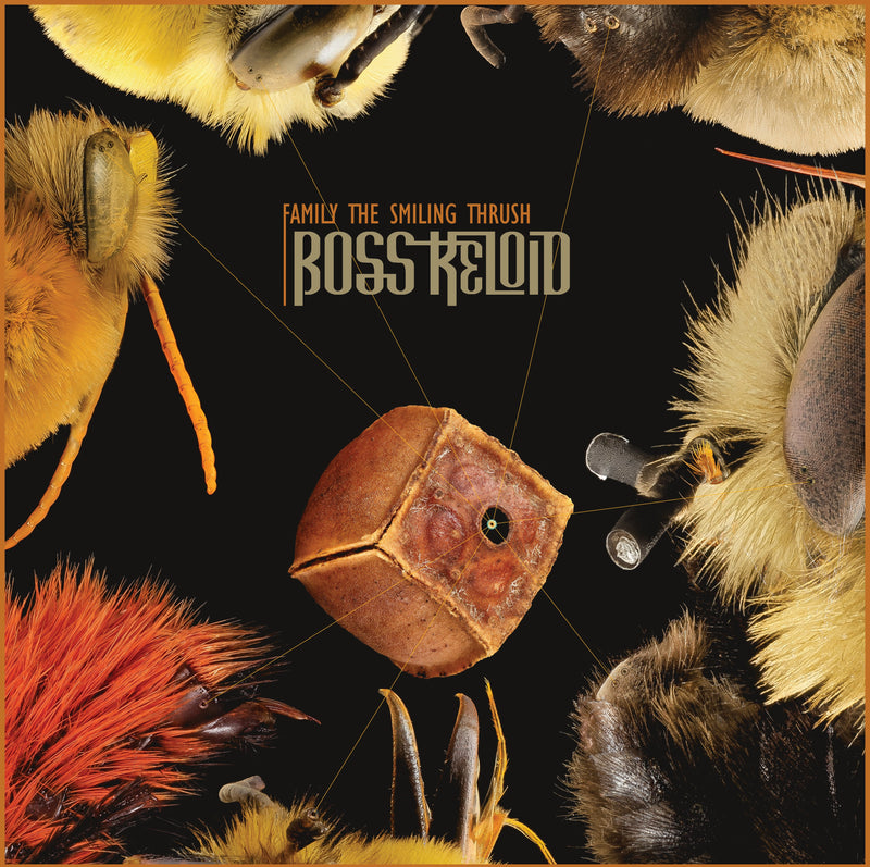 Boss Keloid - Family The Smiling Thrush (LP)