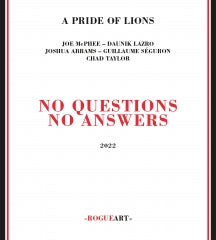 A Pride Of Lions - No Questions No Answers (CD)