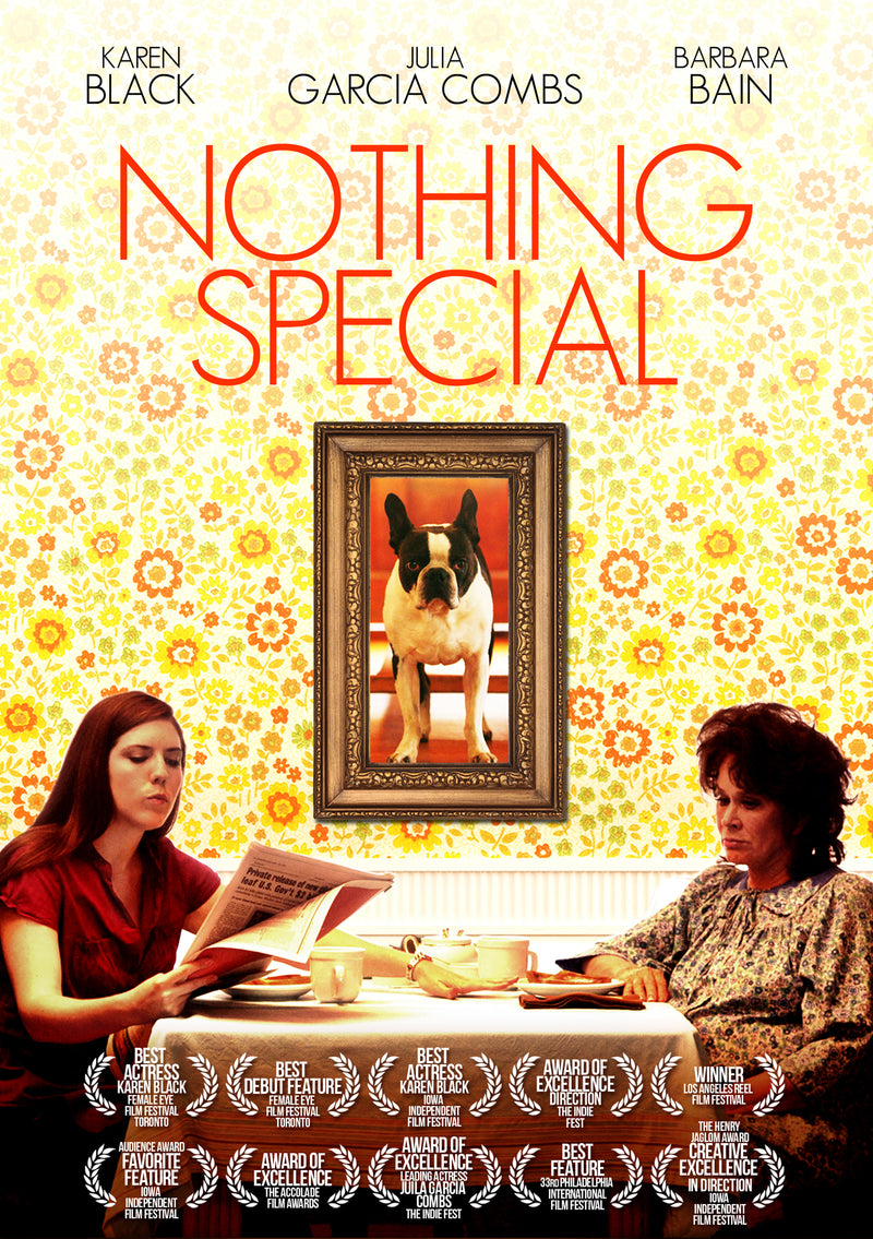 Nothing Special (DVD)