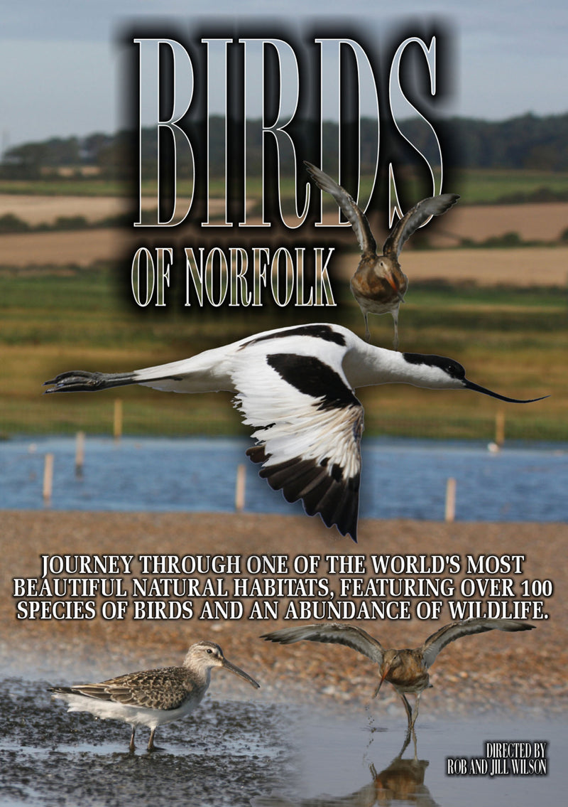 Birds Of Norfolk: A Bird Watchers Dream (DVD)