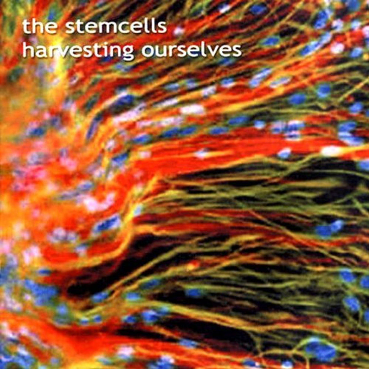 Stemcells - Harvesting Ourselves (CD)