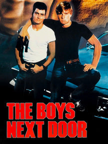 Boys Next Door (Blu-ray)