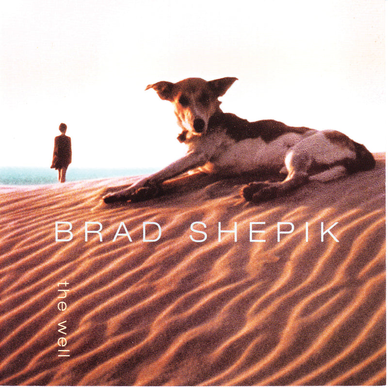 Brad Shepik - The Well (CD)