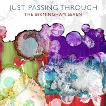 The Birmingham Seven - Just Passing Through (CD)