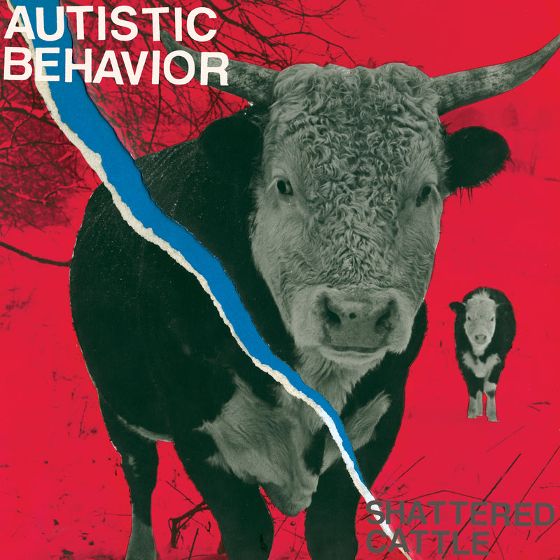 Autistic Behavior - Shattered Cattle (LP)