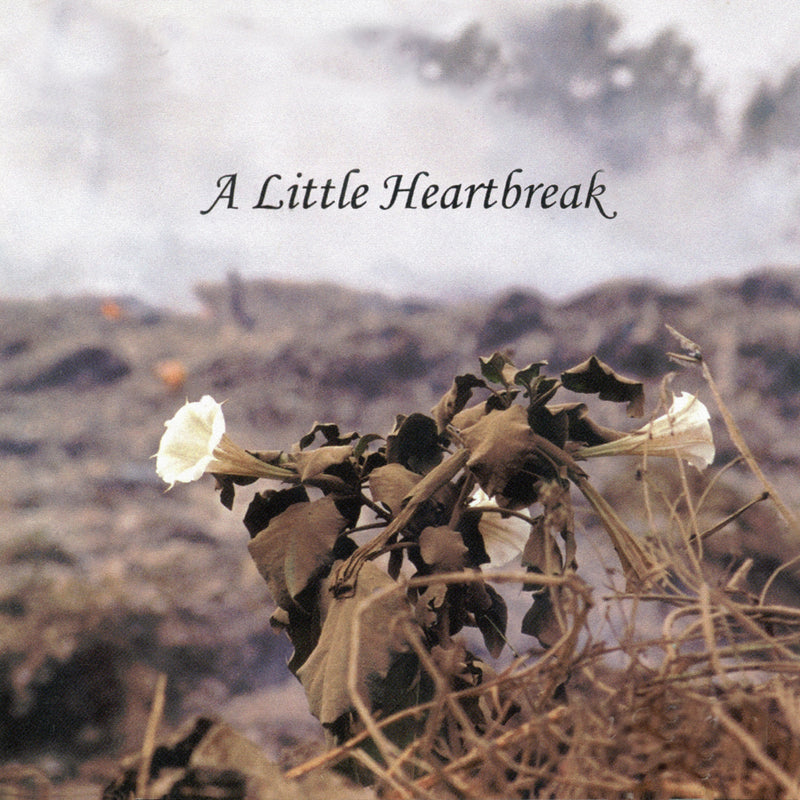 Jan Norris - A Little Heartbreak (CD)
