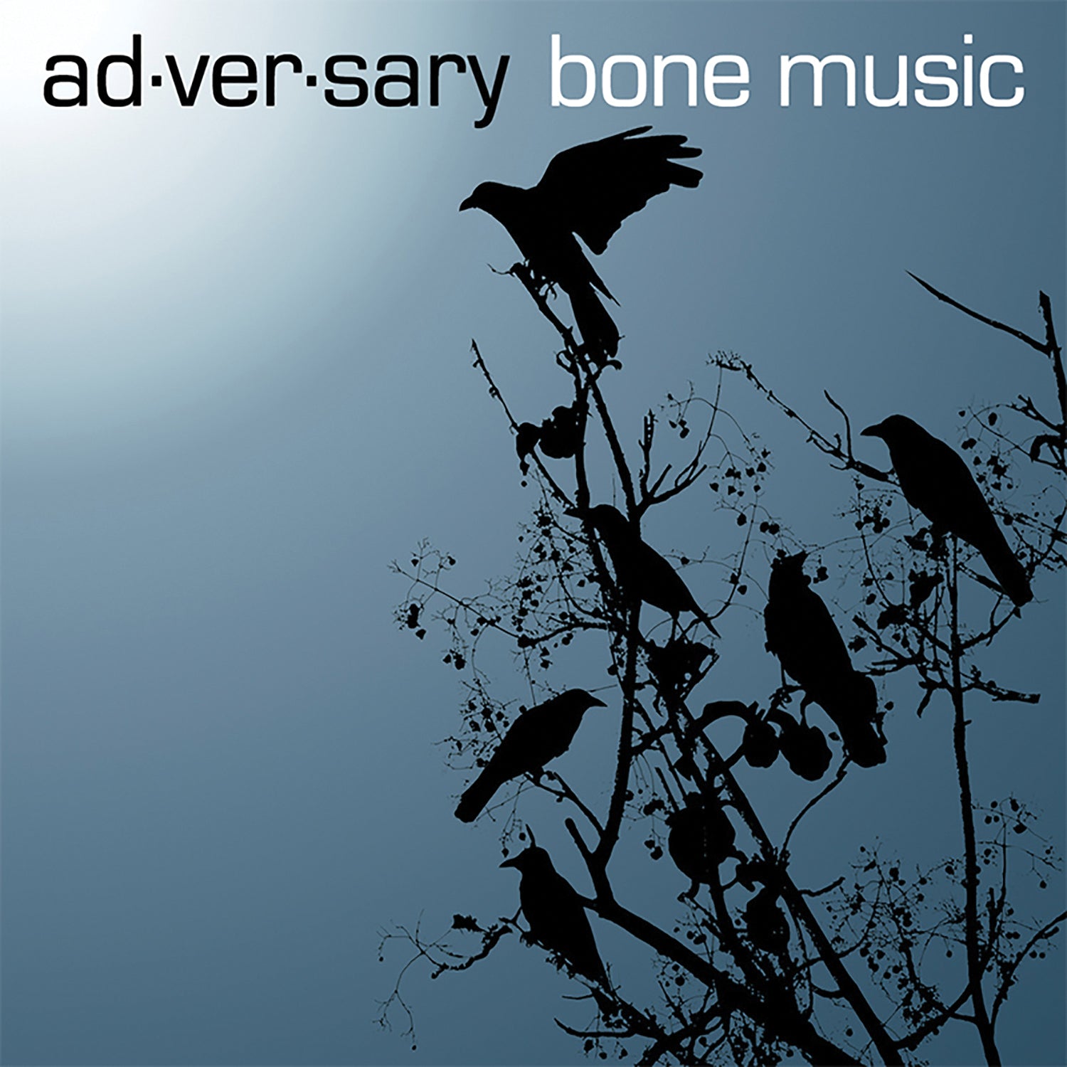Ad-ver-sary - Bone Music (CD)