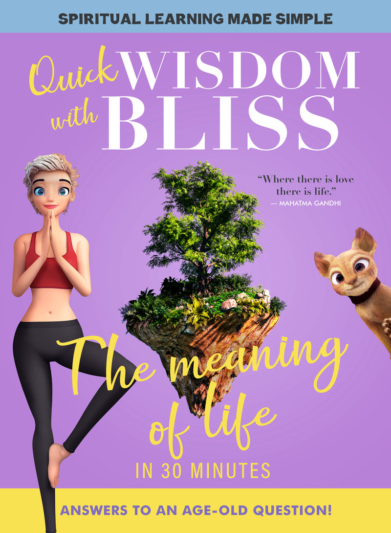 Quick Wisdom With Bliss: The Meaning Of Life (DVD)