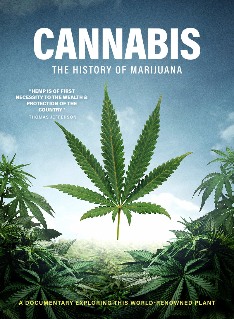 Cannabis (DVD)