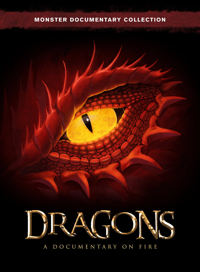 Dragons (DVD)