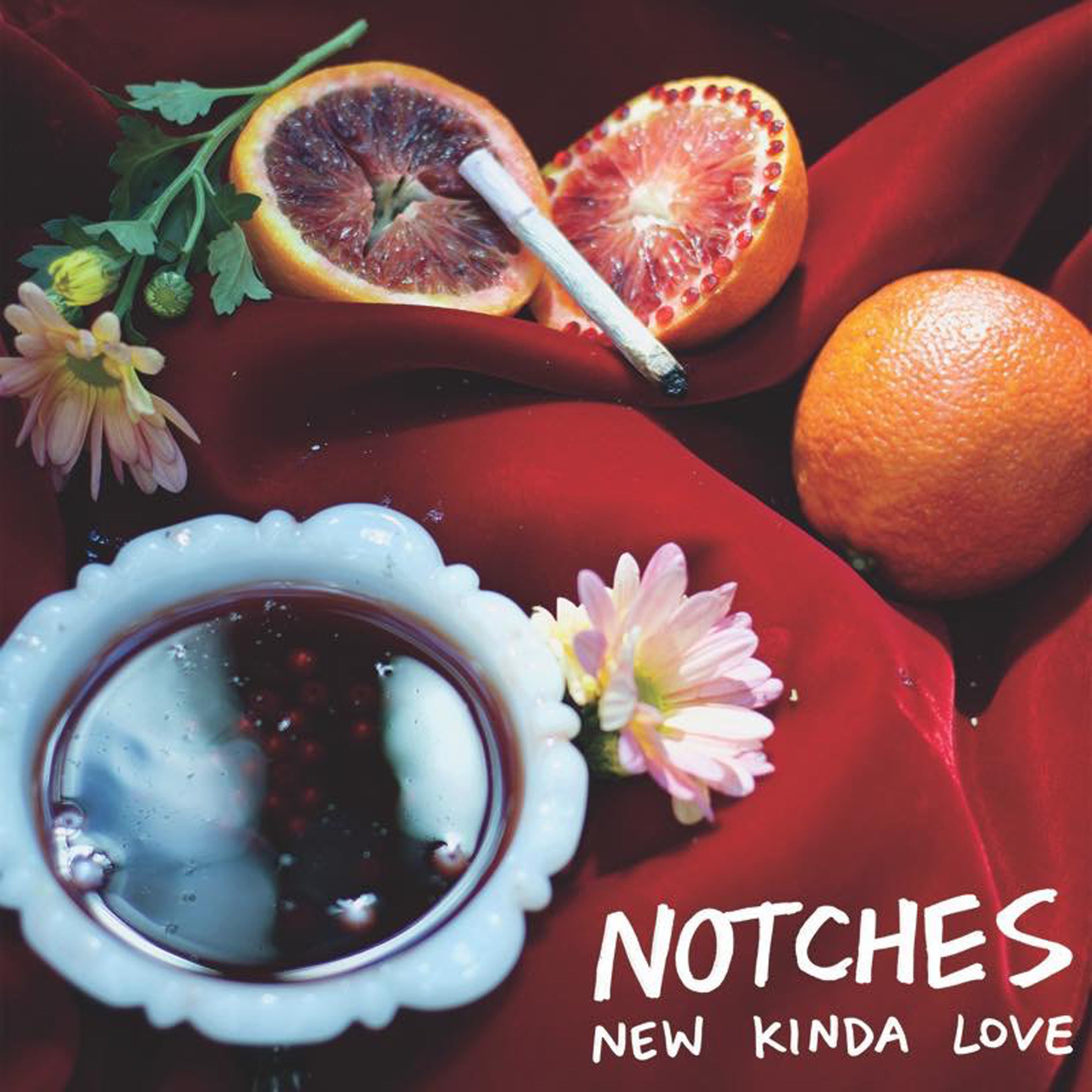 Notches - New Kinda Love/Almost Ruined Everything (CD)