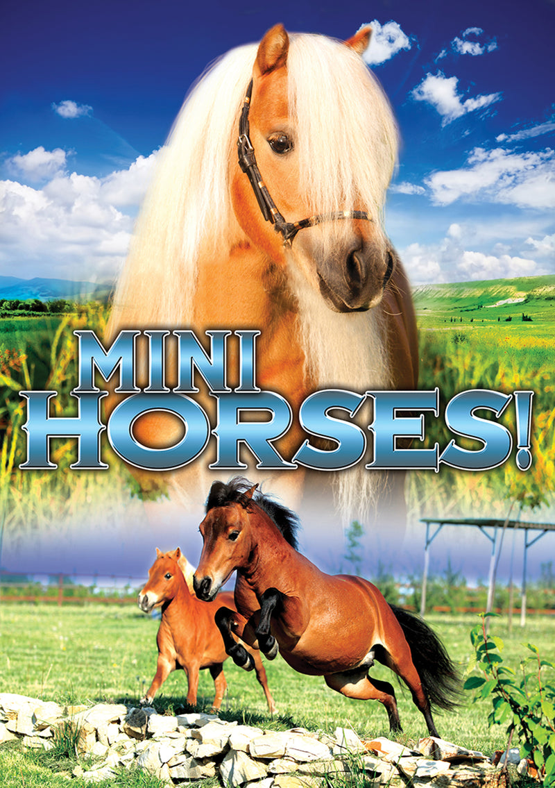 Mini Horses! (DVD)