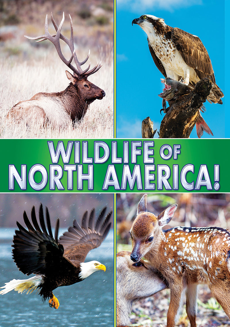 Wildlife Of North America! (DVD)
