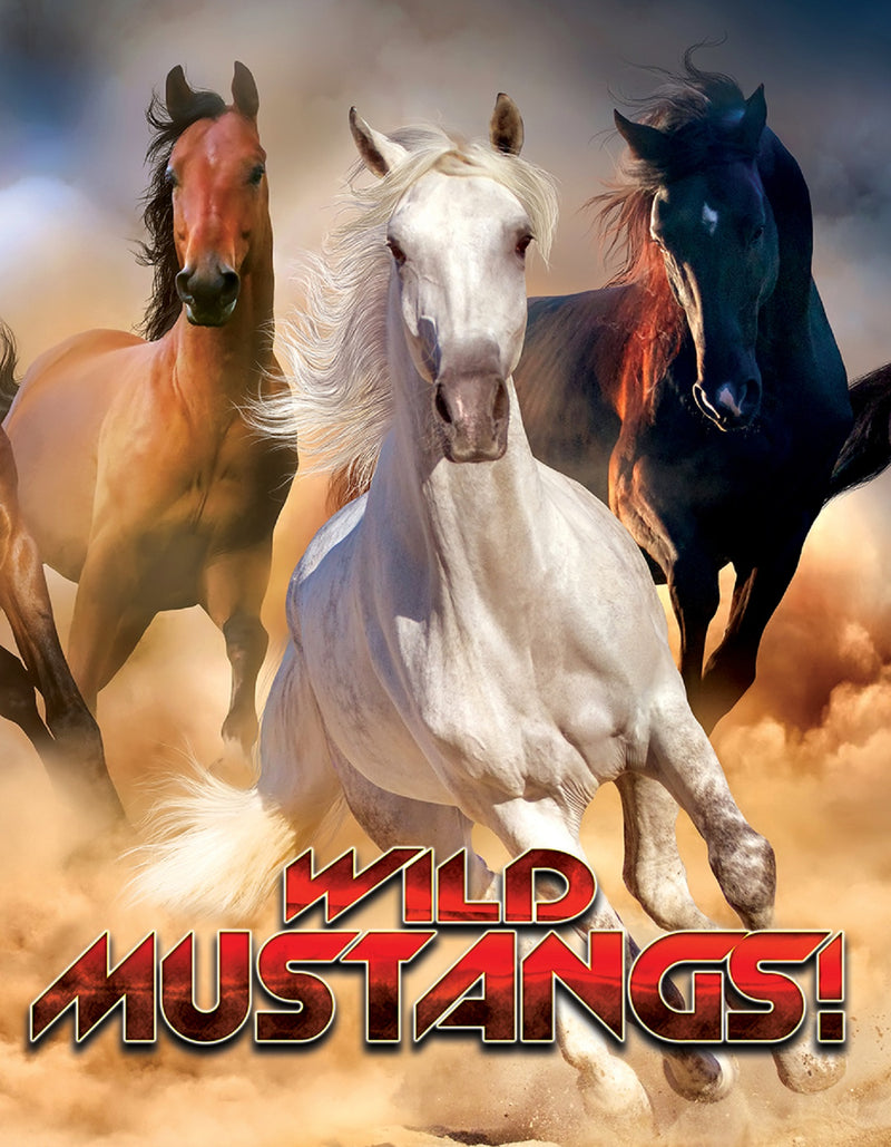 Wild Mustangs! (DVD)